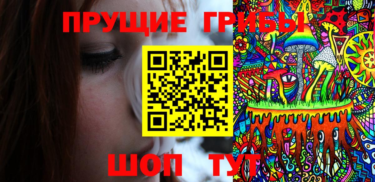 Псилоцибиновые грибы GOLDEN TEACHER  Вход с VPN  Ханты-Мансийск  Псилоцибиновые грибы Psilocybe 